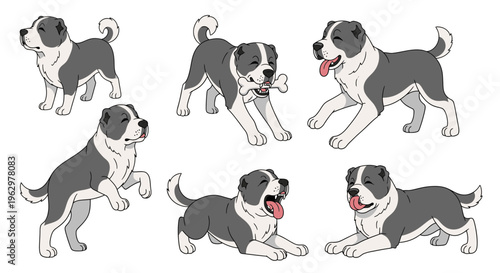 Central Asian Shepherd Dog in various playful poses and expressions  