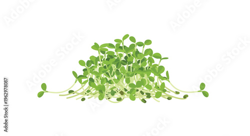 Vibrant cluster of tiny fresh green plant sprouts minimalist vector art representing organic growth and healthy natural food ingredients