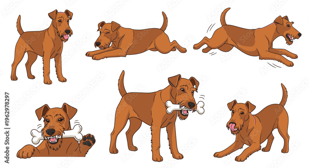 Fototapeta premium Playful Irish Terrier engaging in various activities with a bone 