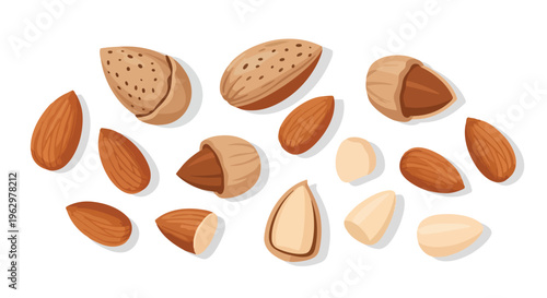 An artistic rendering of various healthy almond forms depicting wholesome nuts both in their natural protective shells and as ready to eat blanched