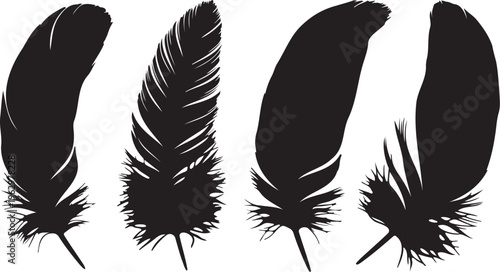Black feather silhouette set, collection of four bird feather vector icons, elegant quill and plumage graphics for logo design and decoration