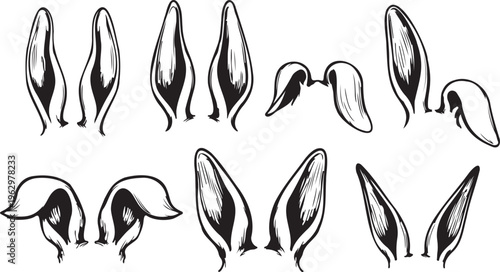 Hand drawn bunny ears vector set, vintage black ink rabbit ear illustrations, collection of 7 pairs of sketch style animal ears for Easter designs