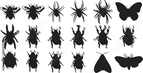 Black insect silhouettes collection, 18 detailed bug vector icons, butterfly and spider shapes, beetle and bee graphic design elements