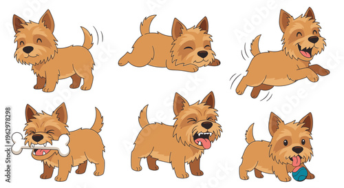 Cartoon Cairn Terrier dog in playful poses with toys  