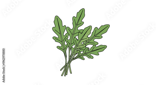 Freshly harvested arugula leaves illustration for culinary and healthy lifestyle designs a vibrant green botanical graphic for food related themes