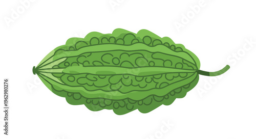 Vibrant green bitter melon illustration showcasing healthy vegetable fresh produce for nutritious meals