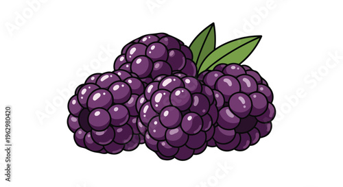 Stylized drawing of a blackberry cluster with fresh green leaves a vivid fruit illustration capturing sweet ripe berries ideal for food packaging