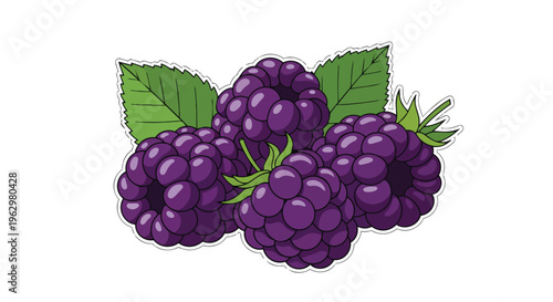 Vibrant Hand-Drawn Blackberries with Green Leaves Illustration Ripe and Juicy Fruit Design