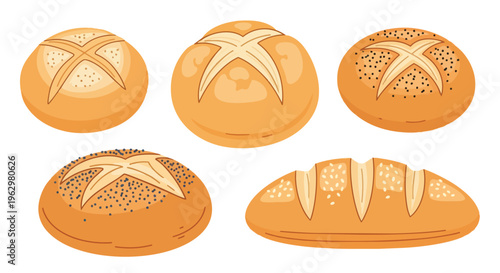 A delightful assortment of freshly baked bread rolls and a rustic loaf, perfect for breakfast spreads or dinner tables