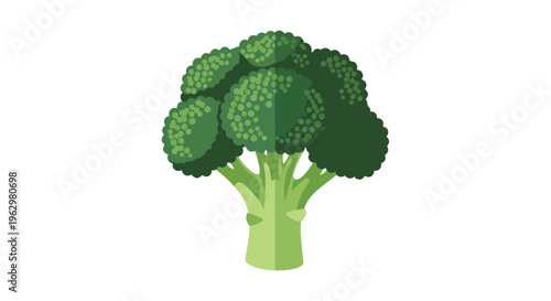 Vibrant green broccoli illustration a symbol of healthy eating and fresh produce design element