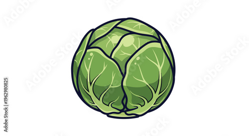 A vibrantly illustrated fresh green cabbage head showcasing healthy organic produce and garden bounty
