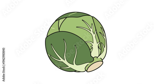 Fresh single cartoon brussels sprout illustration in vibrant green shades, perfect for healthy food themes, cooking graphics, or minimalist
