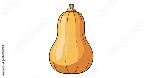 A vibrant, fresh butternut squash cartoon illustration, ready for culinary uses against a pure white isolated backdrop. This cheerful and healthful