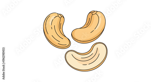 Healthy nutritious cashew nuts illustration on a crisp white backdrop perfect for culinary applications snack promotions and wholesome diet content