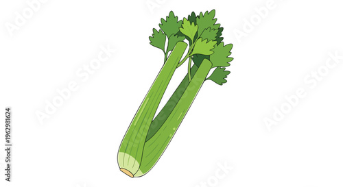 Vibrant green cartoon celery stalks a fresh and healthy vegetable illustration perfect for illustrating healthy eating, cooking, and nutritional