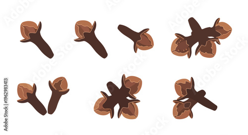 Collection of dried clove spice illustrations displaying various arrangements