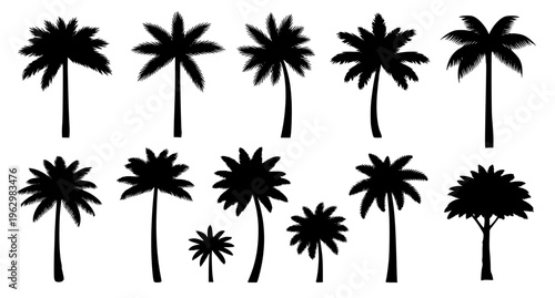 Minimal palm tree silhouettes vector tropical black palm icons set isolated on white background