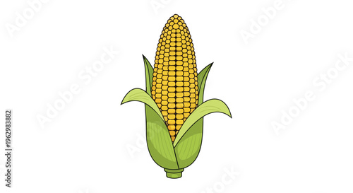 A bright, appealing illustration of a fresh yellow corn cob with green husks, perfect for food and agriculture designs