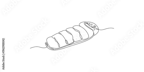 A minimalist continuous line drawing depicts a hot dog with condiments on a bun high quality professional detailed
