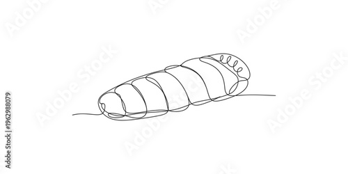 A minimalist line drawing depicts a caterpillar showcasing its segmented body and gentle curves high quality professional detailed