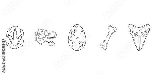 Dinosaur Fossil Icons Outline