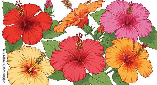 A vibrant collection of colorful, blooming hibiscus flowers and green leaves