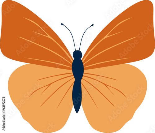 Butterflies Illustration