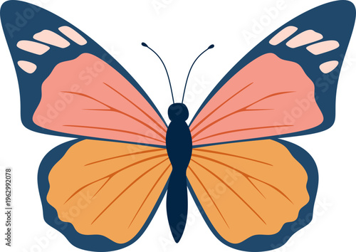 Butterflies Illustration