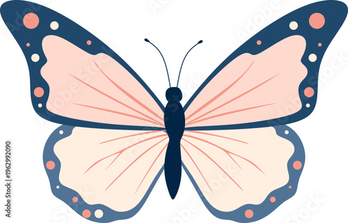 Butterflies Illustration