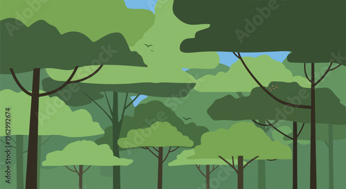 A vibrant, simple illustration of a lush forest
