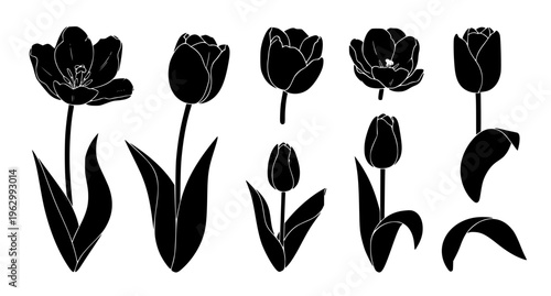 Minimal black tulip silhouettes vector floral icon set simple botanical elements isolated on white