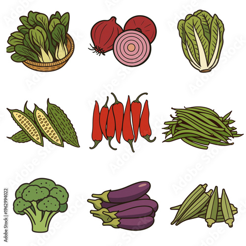 set of vegetables