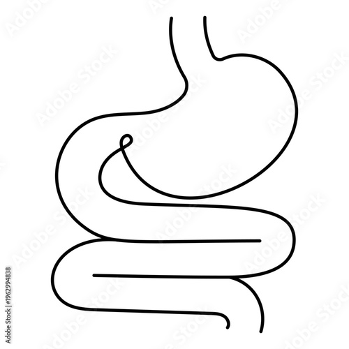 Digestive System icon, Human Stomach and Gastrointestinal Tract Illustration for Medical Anatomy and Health Care, Digestive Organs Symbol for Nutrition Digestion.