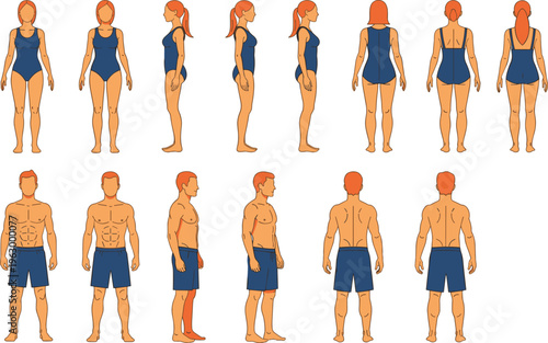 Anatomical human body proportions chart featuring male and female figures in swimwear from front, side, and back views for fashion design and medical illustration.