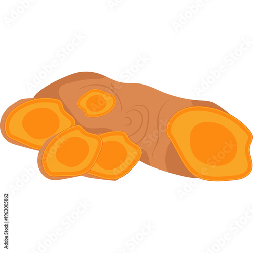 Turmeric Root Slices Illustration