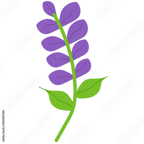 Purple Flower Illustration