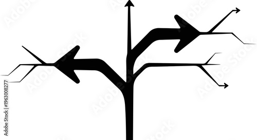 Abstract branching arrows symbolizing choices and direction.