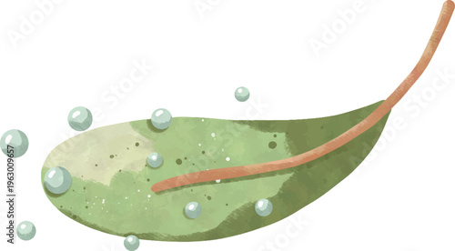 Watercolor Green Leaf with Water Drops, Fresh Botanical Wellness Illustration
