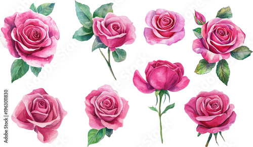 set of pink roses