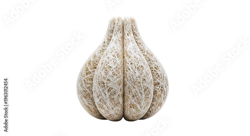 Sculptural Object of Woven Natural Fibers