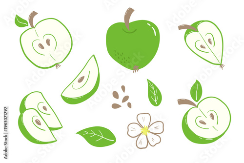Doodle set with a green apple. Apple slices, sliced apple, leaves, seeds, and an apple tree flower. Hand-drawn clip art