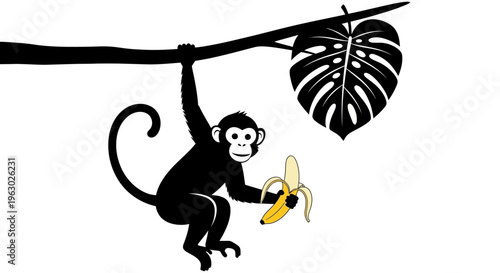 Black Monkey Hanging on Tree Branch Eating Banana.