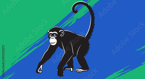 Black monkey with long tail walking on blue and green background.
