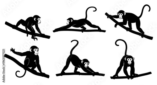 Set of Six Silhouette Monkey Poses on Branches.