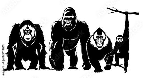 Silhouette Collection of Various Primate Species.
