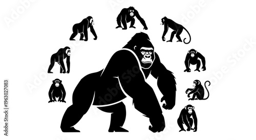 Collection of Gorillas and Monkeys in Various Poses.