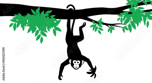 Silhouette Monkey Hanging Upside Down From Tree Branch.