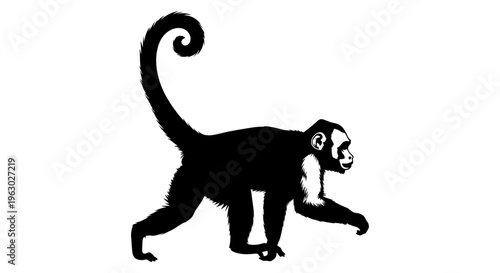 Silhouette of a Spider Monkey in Motion.