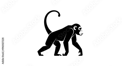 Silhouette of a Spider Monkey Walking on All Fours.