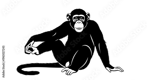 Silhouette of a Chimpanzee Sitting Relaxed.